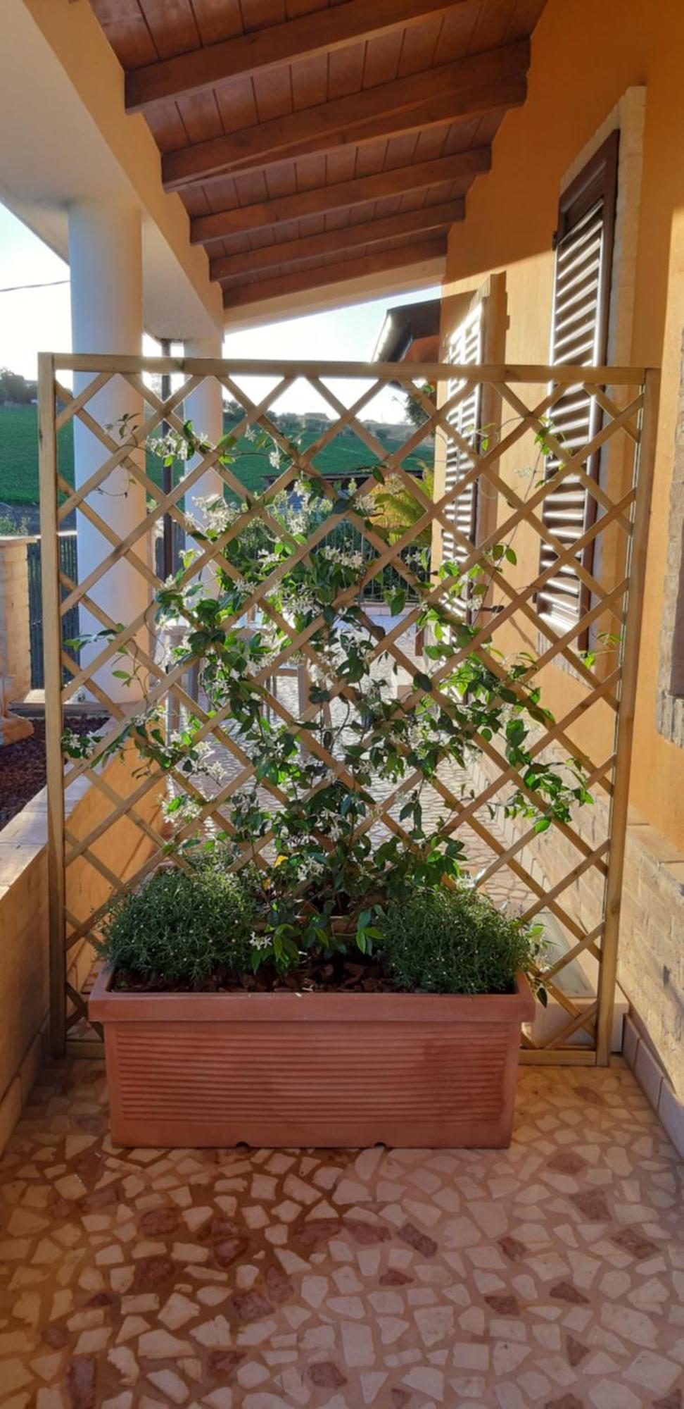 B&B Agrifoglio SantʼElpidio a Mare Dış mekan fotoğraf